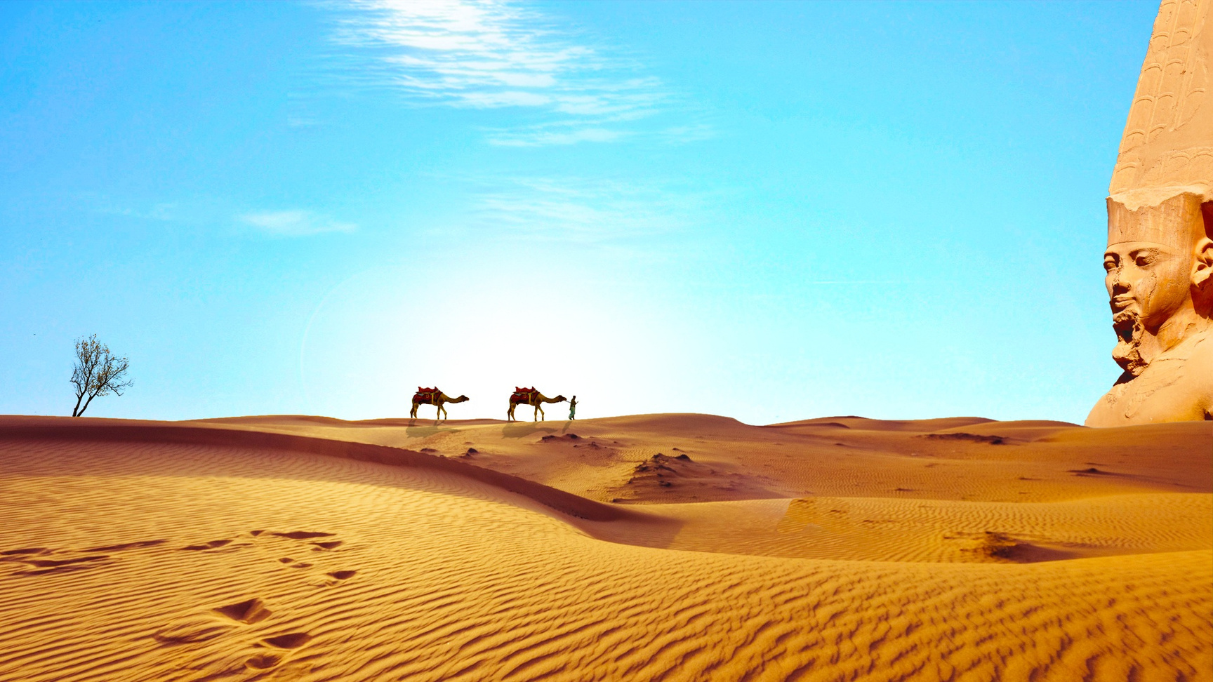 Camels Walking Through the Desert